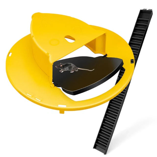 Reusable Humane Bucket, Live Humane Mouse Trap