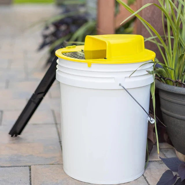 Reusable Humane Bucket, Live Humane Mouse Trap