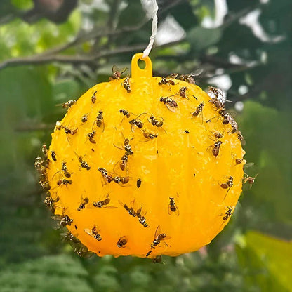 Hanging Fly Trap with Adhesive Layer, Set of 6