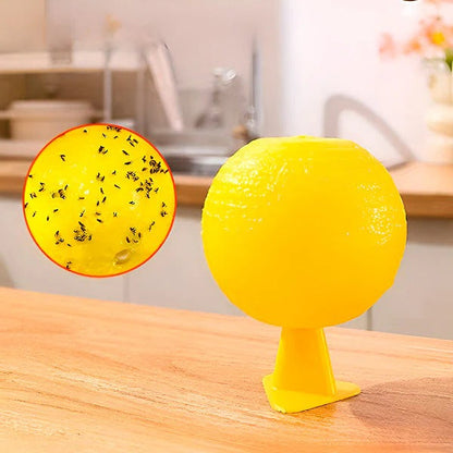 Hanging Fly Trap with Adhesive Layer, Set of 6