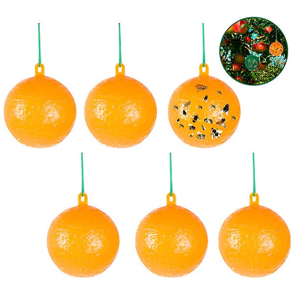 Hanging Fly Trap with Adhesive Layer, Set of 6