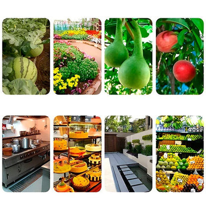 Hanging Fly Trap with Adhesive Layer, Set of 6