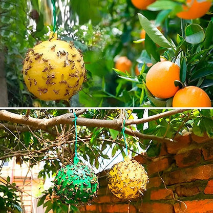 Hanging Fly Trap with Adhesive Layer, Set of 6