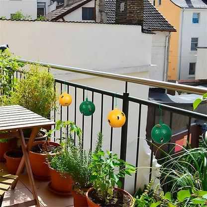 Hanging Fly Trap with Adhesive Layer, Set of 6