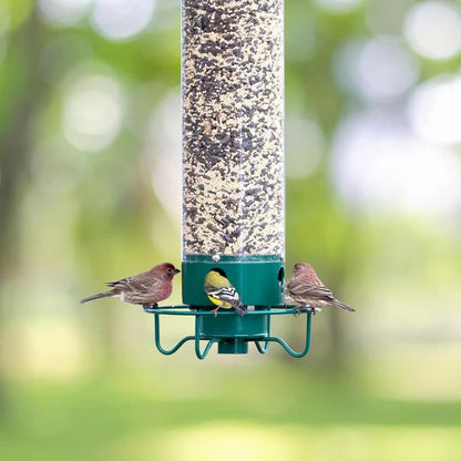 Squirrel-Proof Bird Feeder with Clear Seed Tube