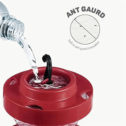 Outdoor Hummingbird Feeder with Perch and Hanger