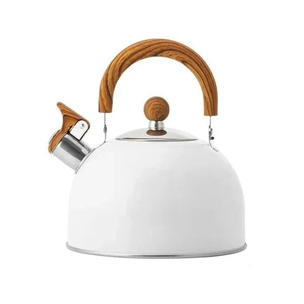 Stainless Steel Kettle, Whistling Alert for Gas and Induction Stoves